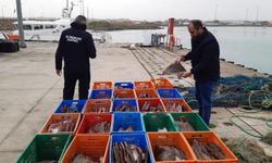 Kaçak kalkan balığı avı pahalıya patladı