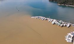 Muğla'da körfezin rengi değişti