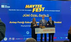 Fıstık kabuğundan çevre dostu teknolojiye: Şanlıurfa’da İnovasyon Rüzgarı!