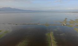 Kahramanmaraş'ta tarım arazisi su altında kaldı