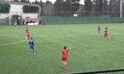 İstanbul'da maçta top çarpan martıya kalp masajı!