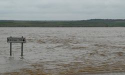 Edirne'de nehir debileri kritik eşikte