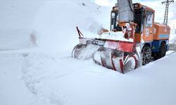 Bitlis'te kırsalda karla mücadele sürüyor
