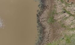 Kırklareli'nde Taşlık Göleti'nin doluluk oranı yağışlarla arttı