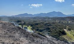 Muğla'da makilik alanda çıkan yangın söndürüldü