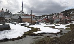 Sivas'taki Eğriçimen Yaylası baharın gelişiyle bir başka güzelliğe büründü