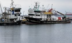 Tekirdağlı balıkçılar sezonu erken kapattı