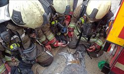 Yangından etkilenen kediler kalp masajıyla kurtarıldı