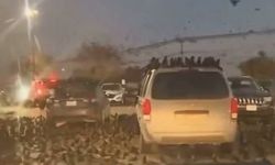 İsrail'de şok olay! Kargalar ve kuzgunlar Tel Aviv'i bastı