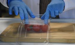 Gıdaların raf ömrünü 15 gün uzatan ambalaj üretildi