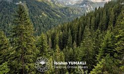 Yumaklı'dan Dünya Ormancılık Günü mesajı