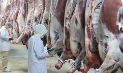 8 ilde 'kırmızı et' operasyonu: 30 şüpheli gözaltına alındı