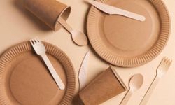 Tek kullanımlık plastiklere karşı doğa dostu alternatifler teşvik edilecek