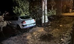 Elazığ'da yoldan çıkan otomobildeki 4 kişi yaralandı