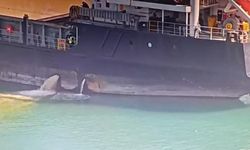 Mersin’de denizi kirleten gemiye dev ceza