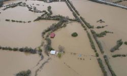 Muğla'da tarım arazileri sular altında kaldı