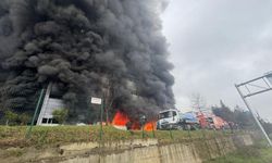 Trabzon'da fındık fabrikasında yangın