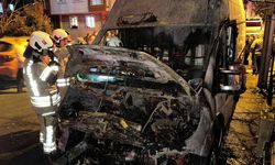 Park halindeki 3 araç küle döndü