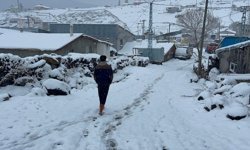 Erzurum, Kars ve Ardahan'da kar yağışı ve soğuk hava etkili oluyor