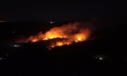 Beykoz'da ormanlık alanda çıkan yangına müdahale sürüyor