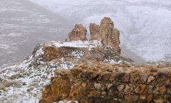Karadeniz'de 4 ilde kar etkili oldu