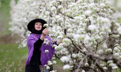 Kırklareli'nde meyve ağaçlarının çiçek açmasıyla bahçeler beyaza büründü