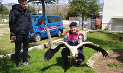 Yozgat'ta yaralı bulunan leylek tedaviye alındı
