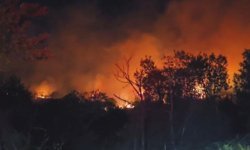 Beykoz'da ormanlık alanda yangın!