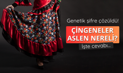 Çingeneler aslen nereli?