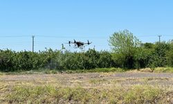 Yapay zeka destekli otonom çiftlikler yolda