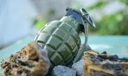 Mersin'de bahçeden el bombası çıktı