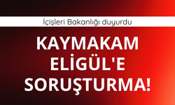 Kaymakam Eligül'e soruşturma!