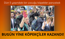 Skandal karar duyuruldu! Köpekler toplatılmayacak