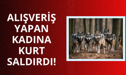 Alışveriş yapan kadına kurt saldırdı