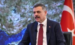 Bakan Çiftçi'den sahipsiz hayvanlara ilişkin açıklama: Tavizsiz ve zaruri