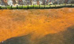 Tekirdağ'da denizin rengi değişti