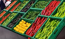 Meyve ve sebzede fahiş fiyat uygulayan işletmelere 96,6 milyon lira ceza