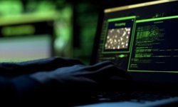 275 okulu hedef gösteren 389 hesap kullanıcısı gözaltına alındı