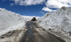 Ardahan-Ardanuç yolu 4 ay sonra ulaşıma açıldı