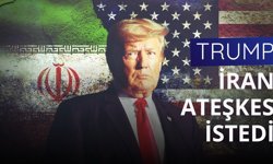 Trump, 15 ay sonra ABD'nin Canberra Büyükelçiliğine aday gösterdi