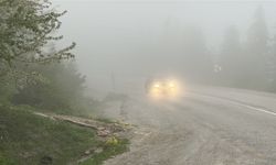 Kastamonu'da sis etkili oldu