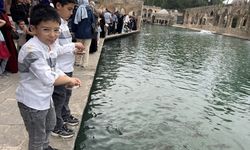 Balıklıgöl'de bahar yoğunluğu yaşanıyor