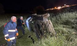 Elazığ'da domuza çarparak şarampole devrilen otomobildeki 5 kişi yaralandı