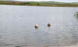 Gelingüllü Barajı'nda eski yerleşim yerleri yeniden sular altında kaldı