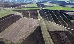 Kars'ta ekim yapılan tarım arazileri dronla görüntülendi