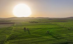 Konya'da yağışlar tarımda enerji maliyetlerini düşürdü