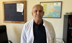 Trakya'da yağışlar tarımsal verim beklentisini artırdı