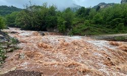 Bartın'da Arıt Deresi taşma noktasına geldi