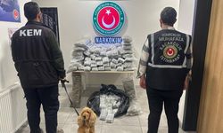 Gümrükler Muhafaza ekiplerinden zehir tacirlerine ağır darbe