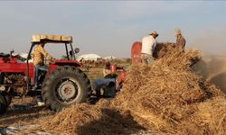 Gaspçı İsrailliler buğday tarlalarını ateşe verdi